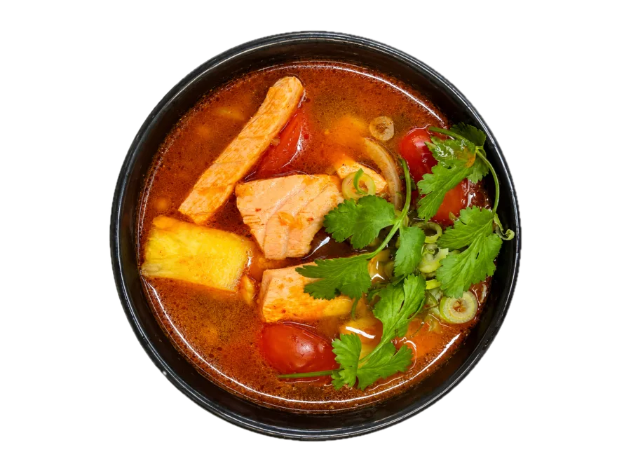 Lachs-Suppe
